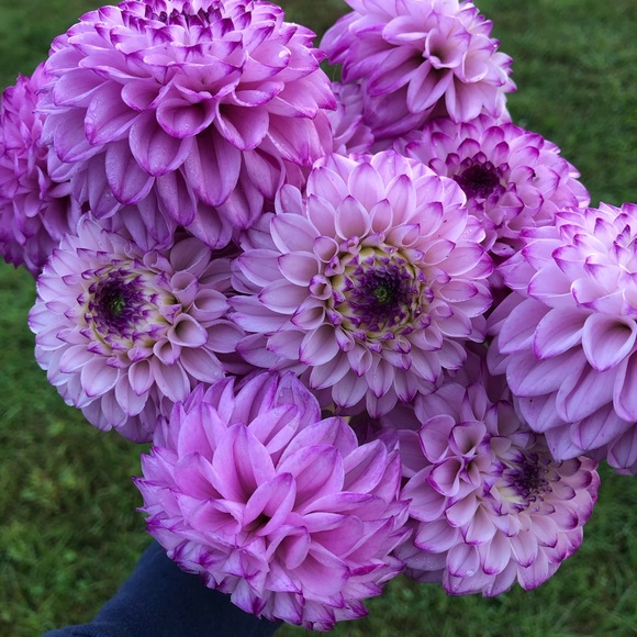 Create a Bundle or Send me an Offer! - Picture 3 of 3